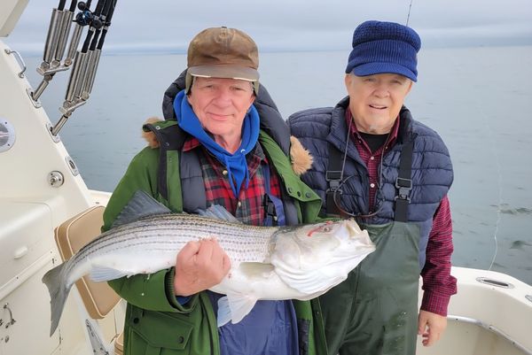 Rock N Roll Charters