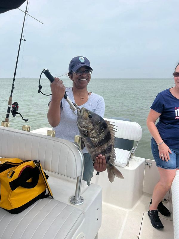 Rock N Roll Charters