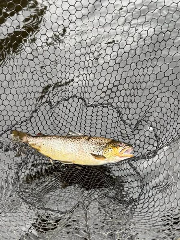 REEL’D IN OUTDOORS GUIDE SERVICE
