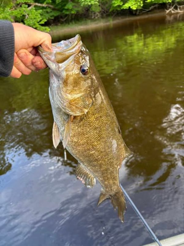 REEL’D IN OUTDOORS GUIDE SERVICE