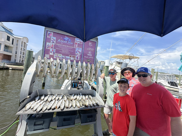 Aquiline Custom Charters