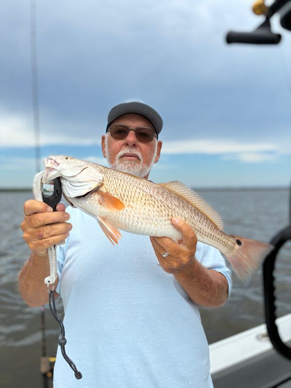 Aquiline Custom Charters