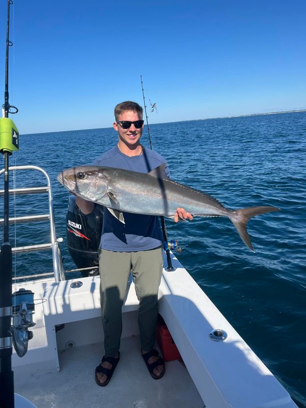 Quiet Pro-FishOn-al Charters