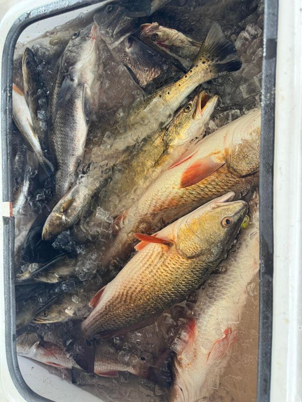 Guilbeau Charters