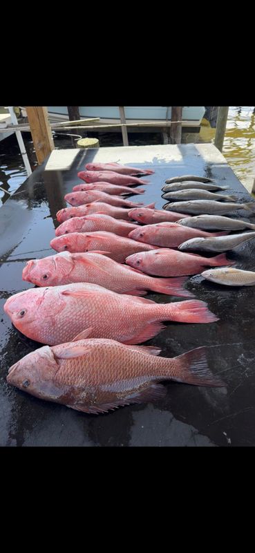 Guilbeau Charters