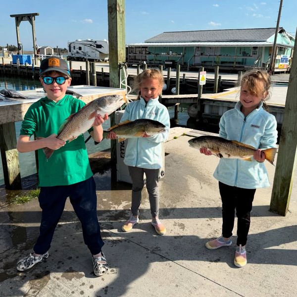 Drifter Sportfishing and Charters
