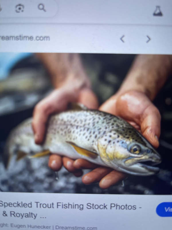 ABC fishing chatters 
