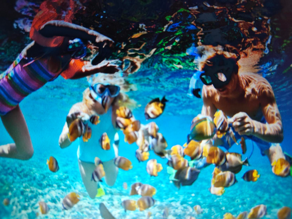 ABC fishing chatters