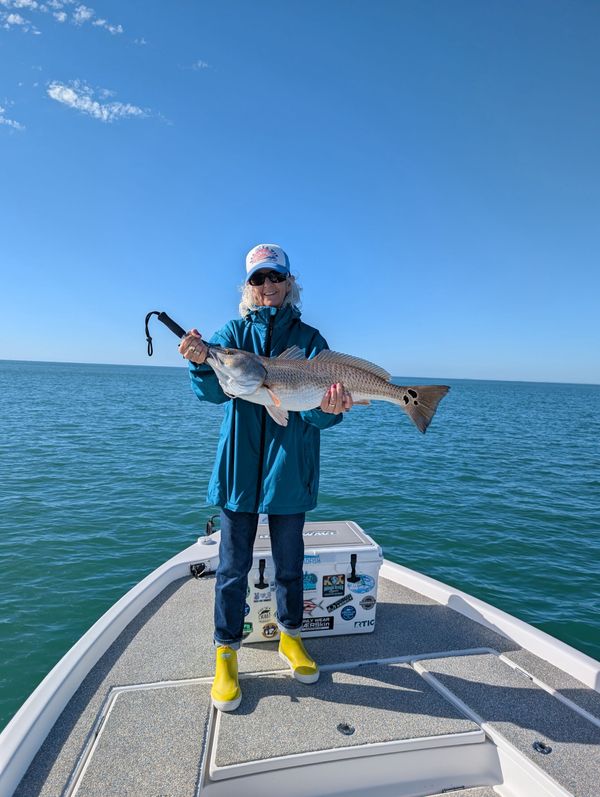 Renegade Sportfishing SD LLC