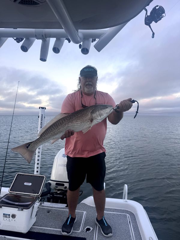 Renegade Sportfishing SD LLC