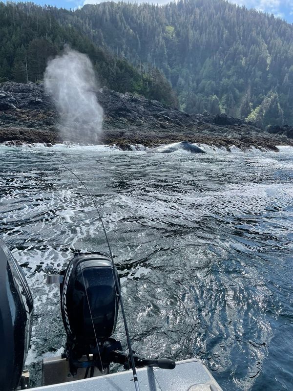 Pete's Fishing & Guiding Adventures