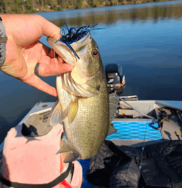 Still Waters Fishing