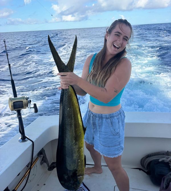 Reel Havoc Sportfishing