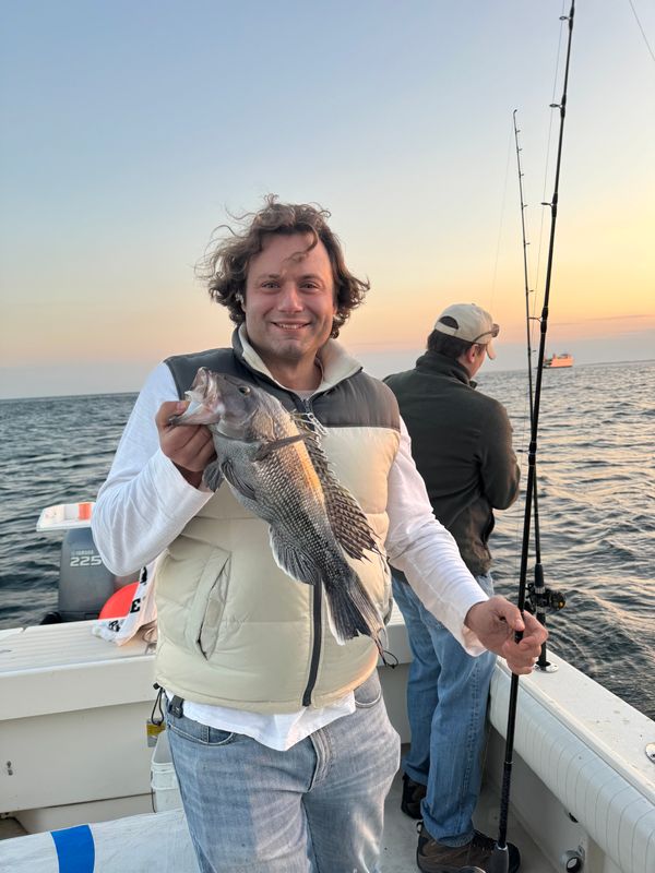 Set The Hook CT LLC