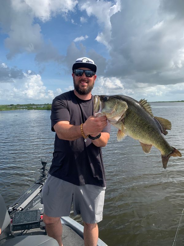 Fish Hand Guide Service
