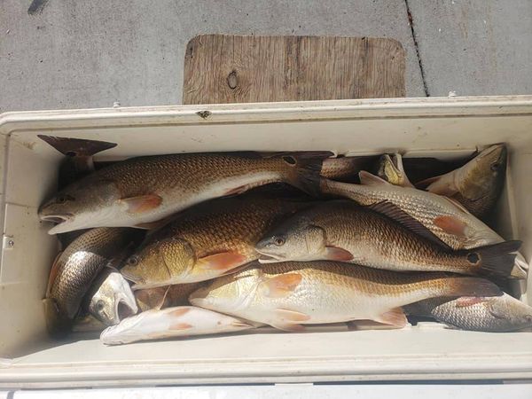 Serigne's Fishing Charters