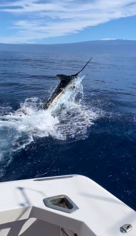 Kona Cowboy Sportfishing