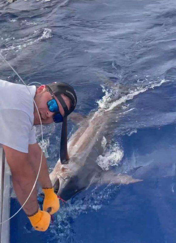 Kona Cowboy Sportfishing