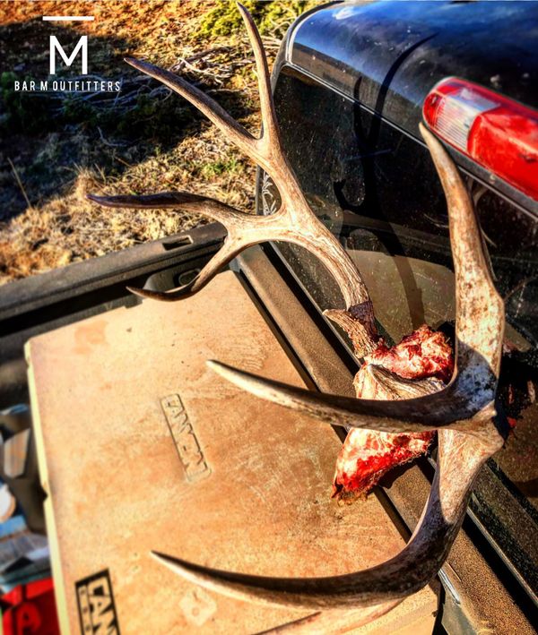 Bar M Outfitters