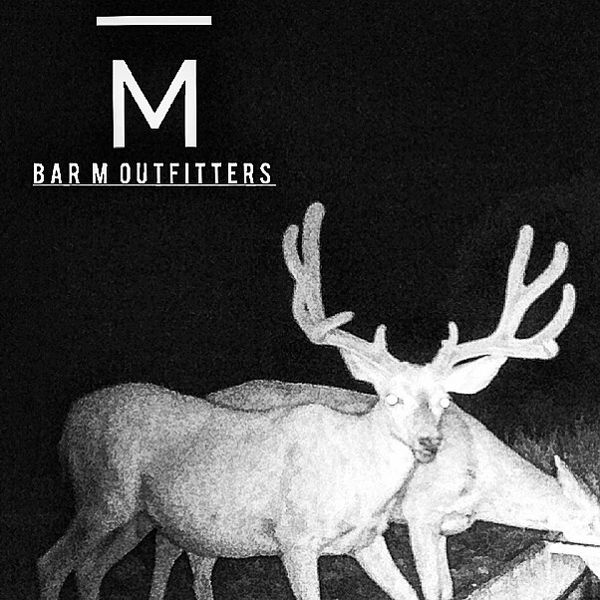 Bar M Outfitters