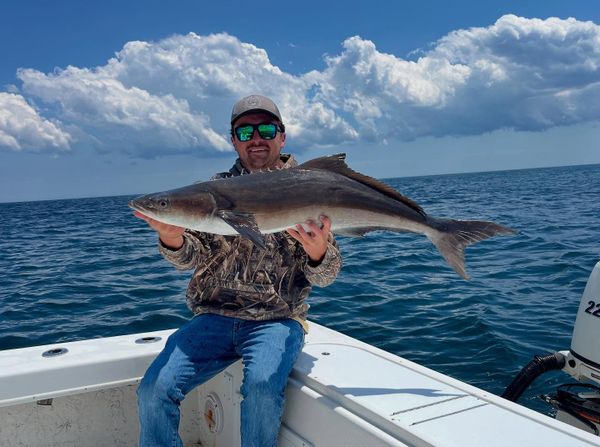 King Tide Charters