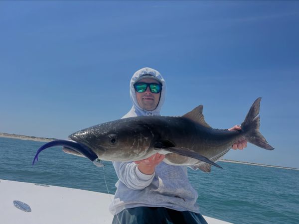 King Tide Charters