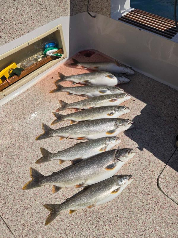 Duluth Superior Charter Fishing LLC