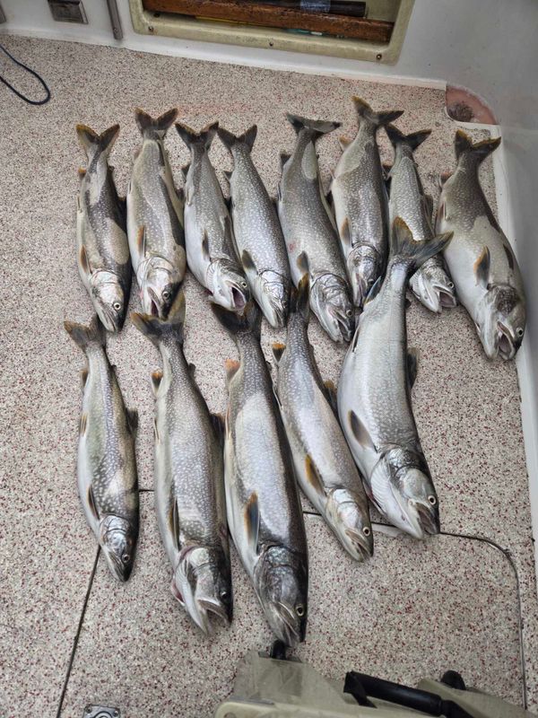 Duluth Superior Charter Fishing LLC
