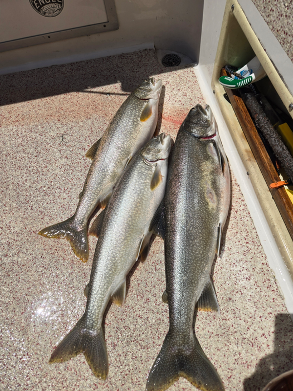 Duluth Superior Charter Fishing LLC