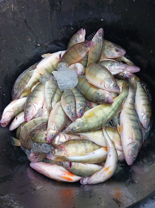 Reef Bobber Charters