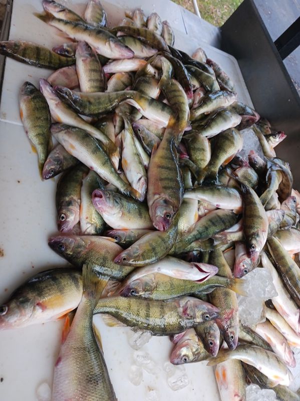 Reef Bobber Charters