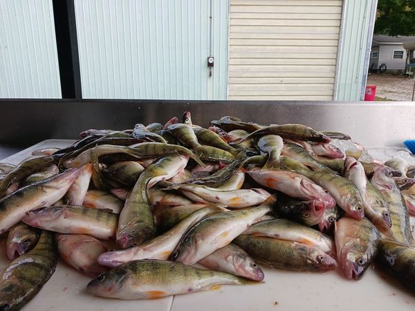 Reef Bobber Charters