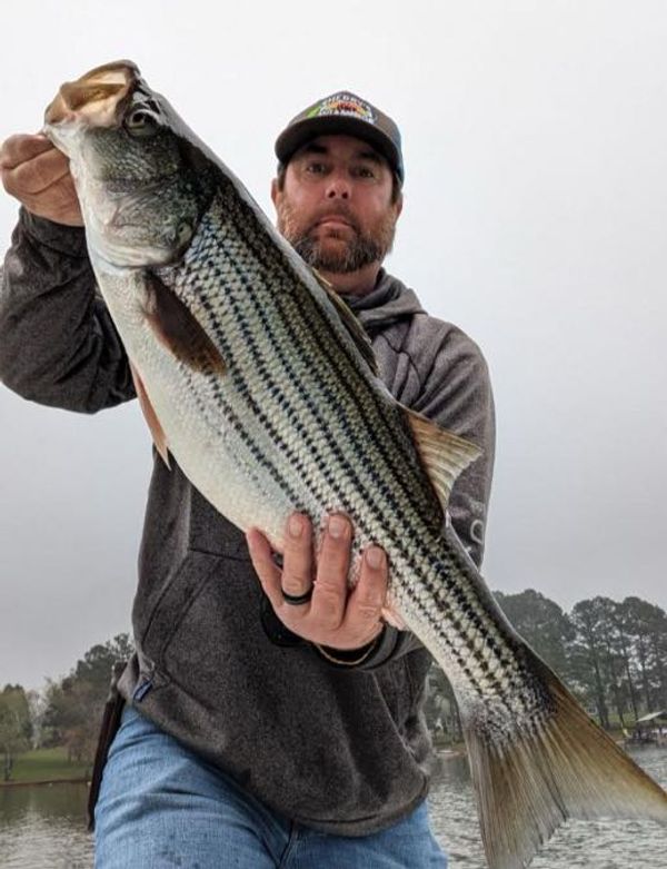 Beck N Call Fishing