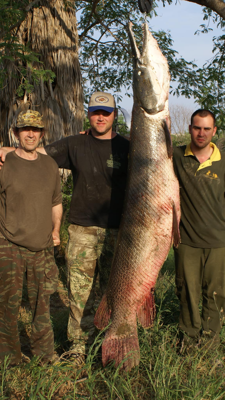 Extreme Bowfishing