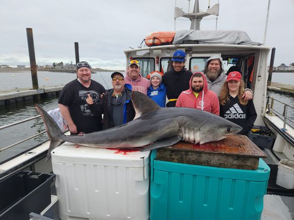 Tontine Fishing Charters