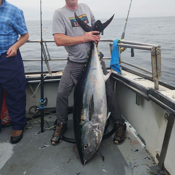 Tontine Fishing Charters