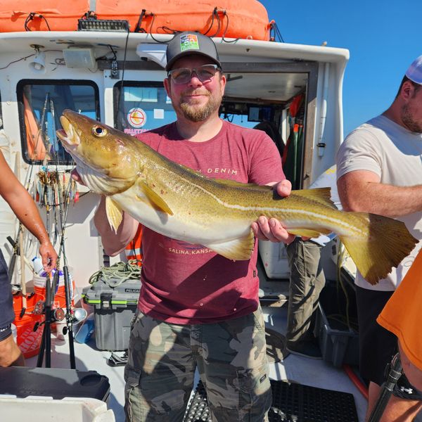 Tontine Fishing Charters