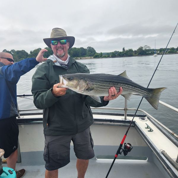 Tontine Fishing Charters