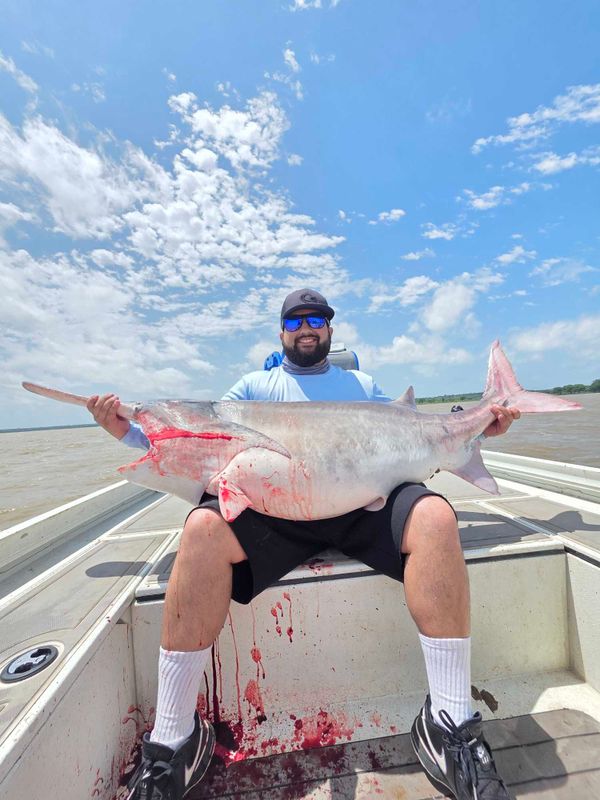 Gone Fishin Guide Service