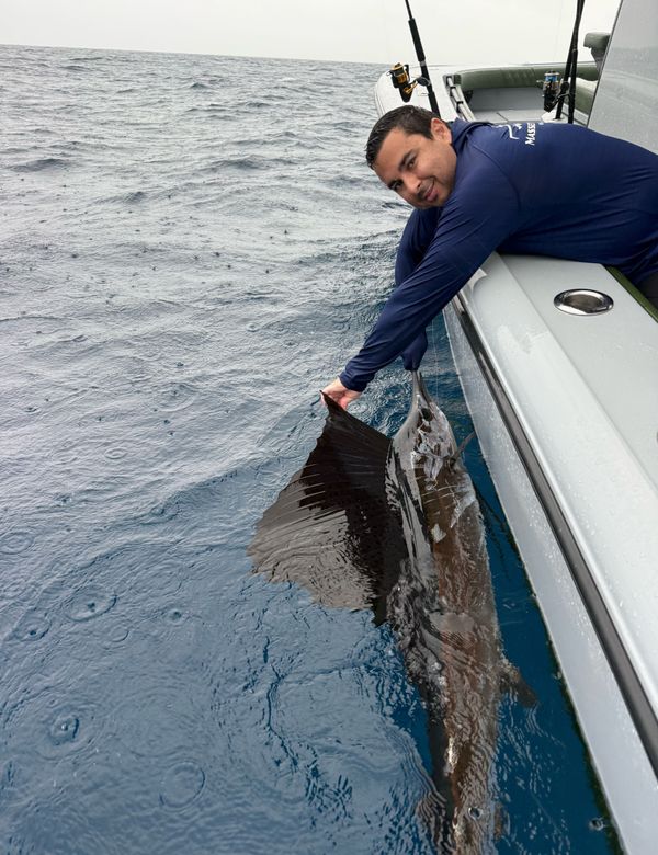 Oceanside Charters