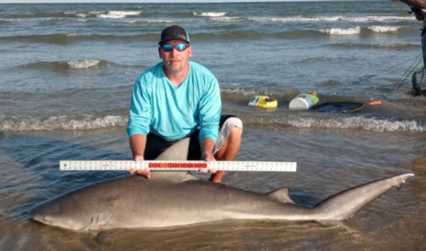 Gulf Coast Families Land Base Shark Fishing