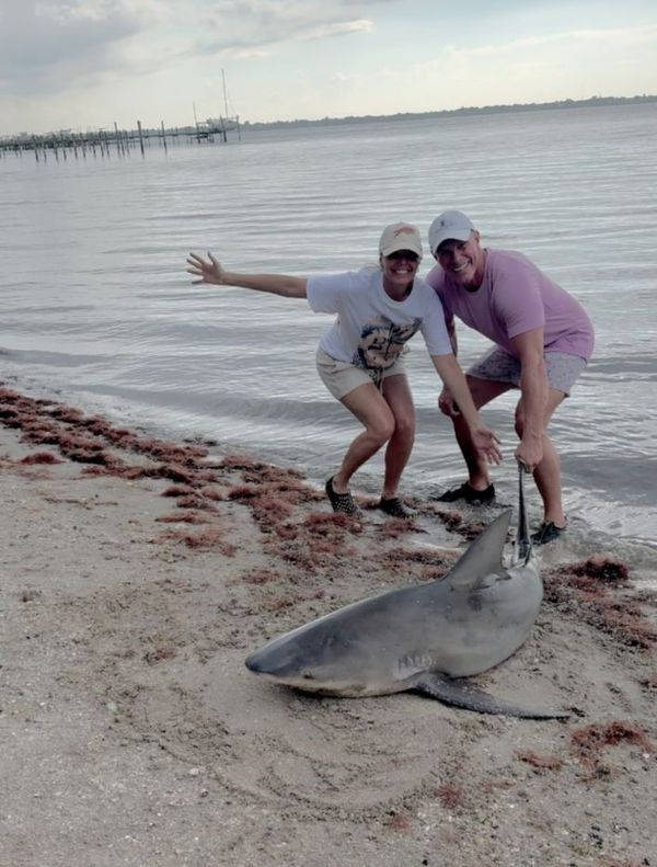 Noname Shark Charters