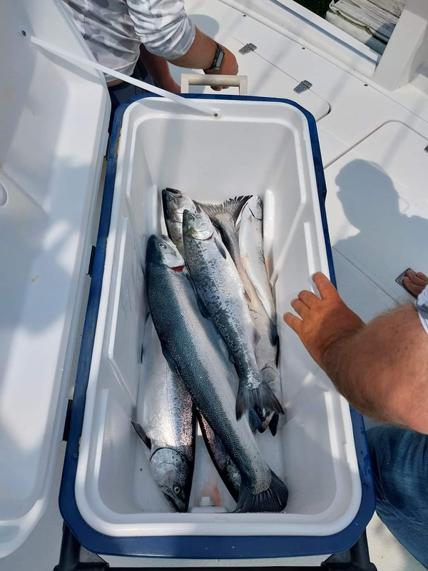 Net Results Sportfishing