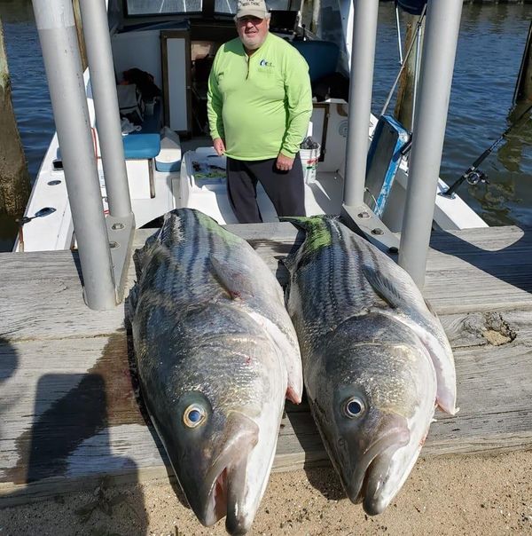 Reel Thing Fishing Charters