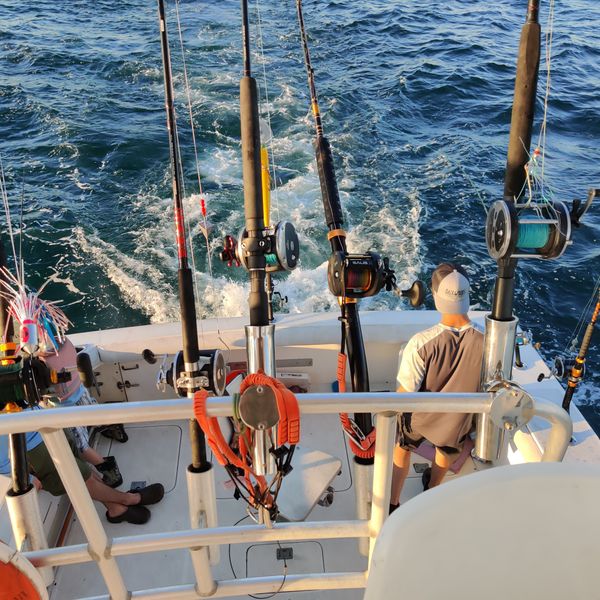 Reel Hard Charters