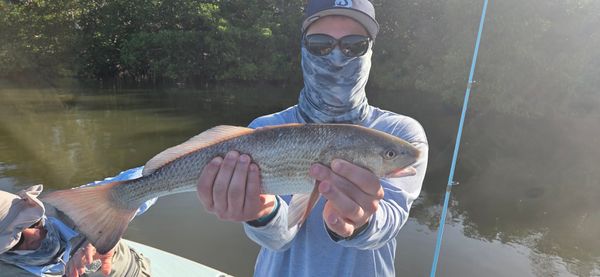 Southern Gentlemen Fishing