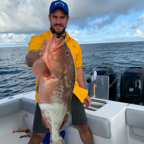 El Capitano's Offshore
