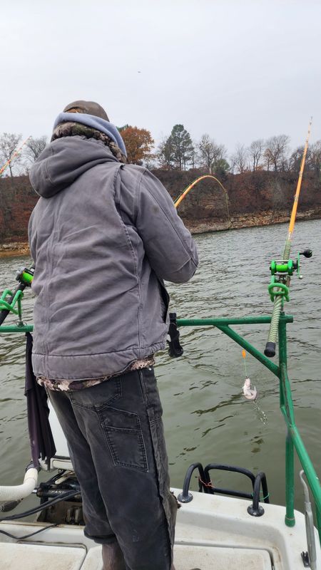 B & C fishing adventures LLC