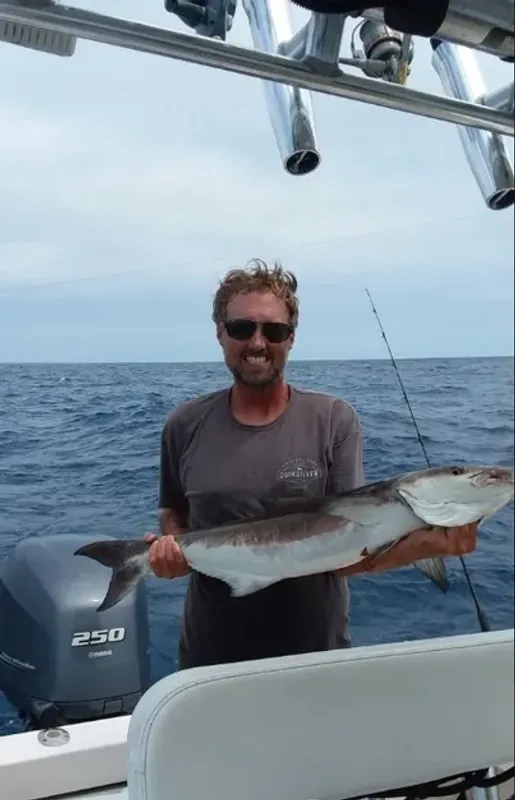 Fintasia Charters