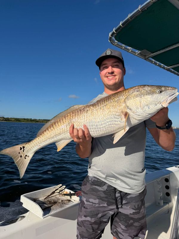 Bell & Anchor Fishing Charters